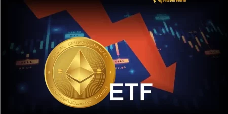 The Cryptoplay : All updates about Cryptocurrency worldwide