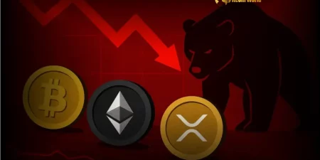 The Cryptoplay : All updates about Cryptocurrency worldwide