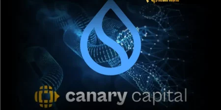 The Cryptoplay : All updates about Cryptocurrency worldwide