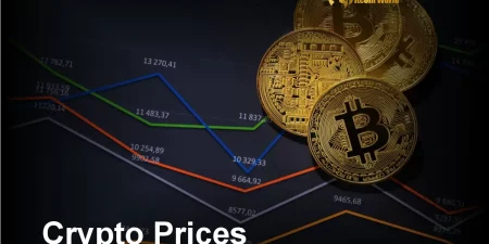 The Cryptoplay : All updates about Cryptocurrency worldwide