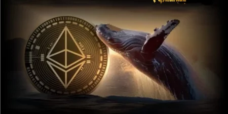 The Cryptoplay : All updates about Cryptocurrency worldwide