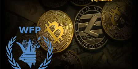 The Cryptoplay : All updates about Cryptocurrency worldwide