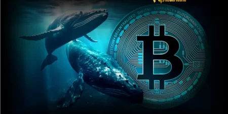 The Cryptoplay : All updates about Cryptocurrency worldwide