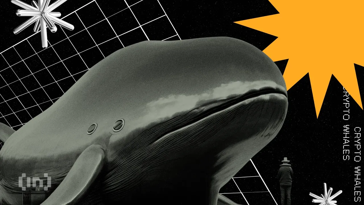 Ethereum Whales Remain Divided – What Lies Ahead for ETH Investors?